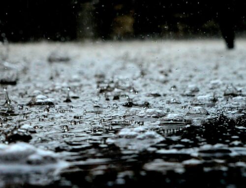 Do Insulated Patios Really Reduce Noise During Gold Coast Storms?